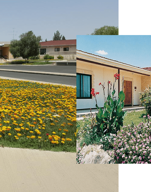 Nassim Compound